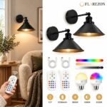 Arcveld – Cone Arm Wireless Wall Sconce