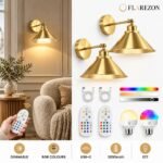 Arcveld – Cone Arm Wireless Wall Sconce